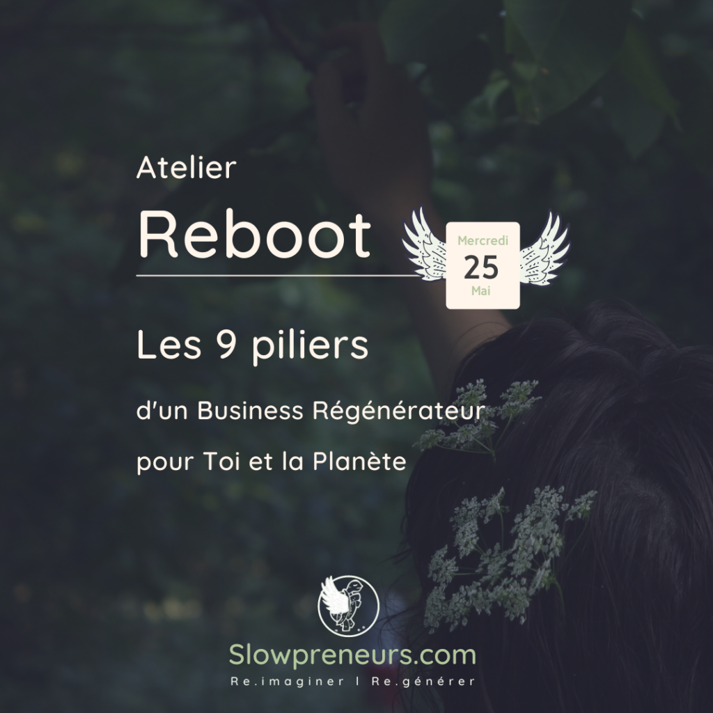atelier les 9 piliers d'un business régénérateur