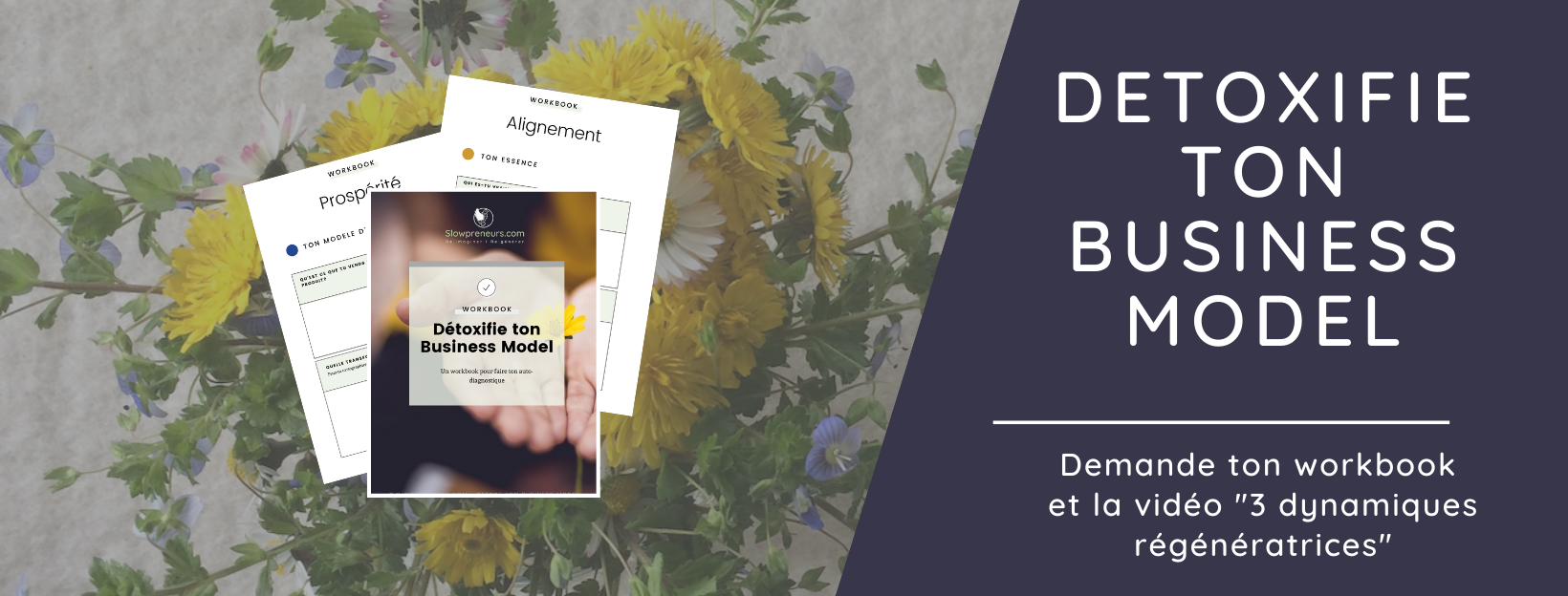 detoxifie ton business model: masterclasse et workbook