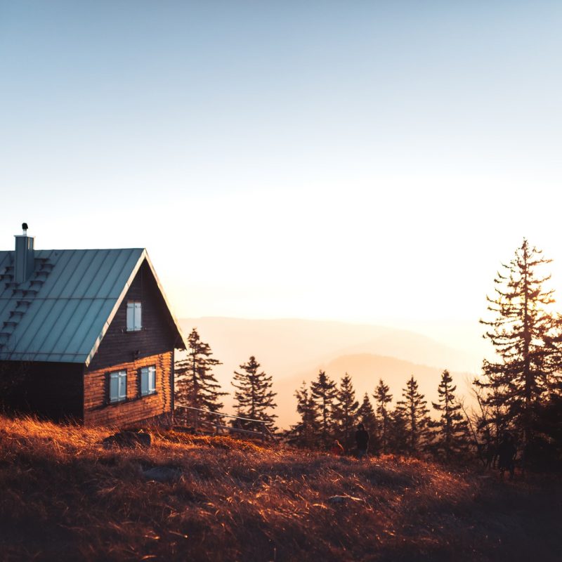 lili-kovac-BSQq5dRT_KU-unsplash(1) lili-kovac-BSQq5dRT_KU-unsplash(1)